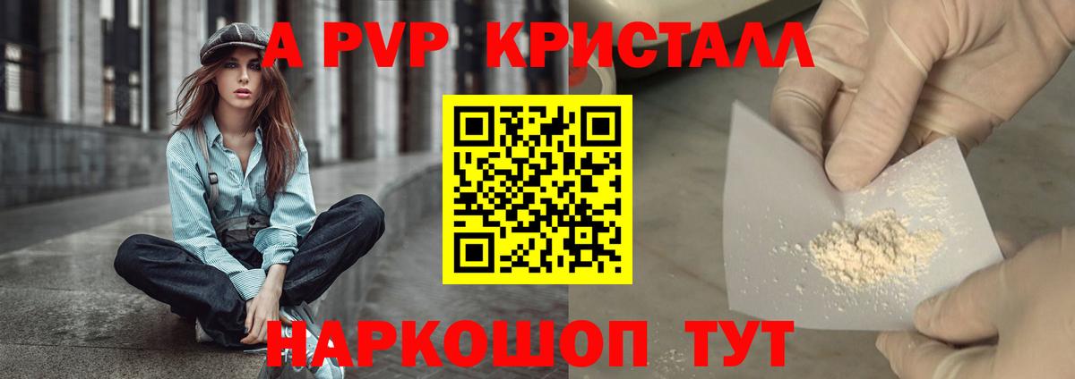 APVP СК Электрогорск