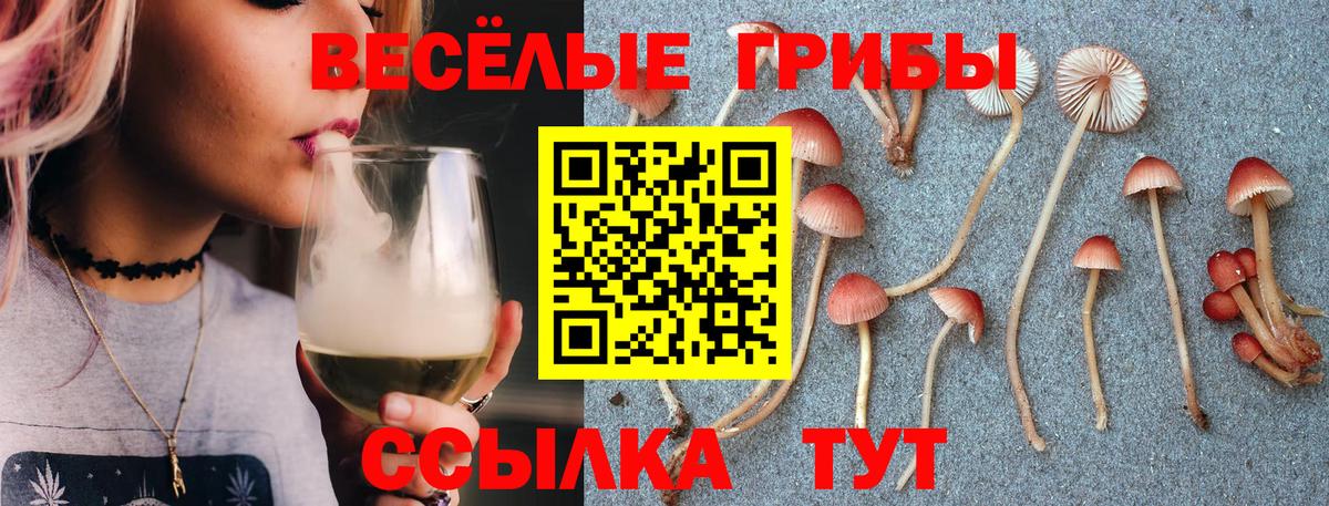 Галлюциногенные грибы GOLDEN TEACHER  Вход с VPN  Электрогорск 