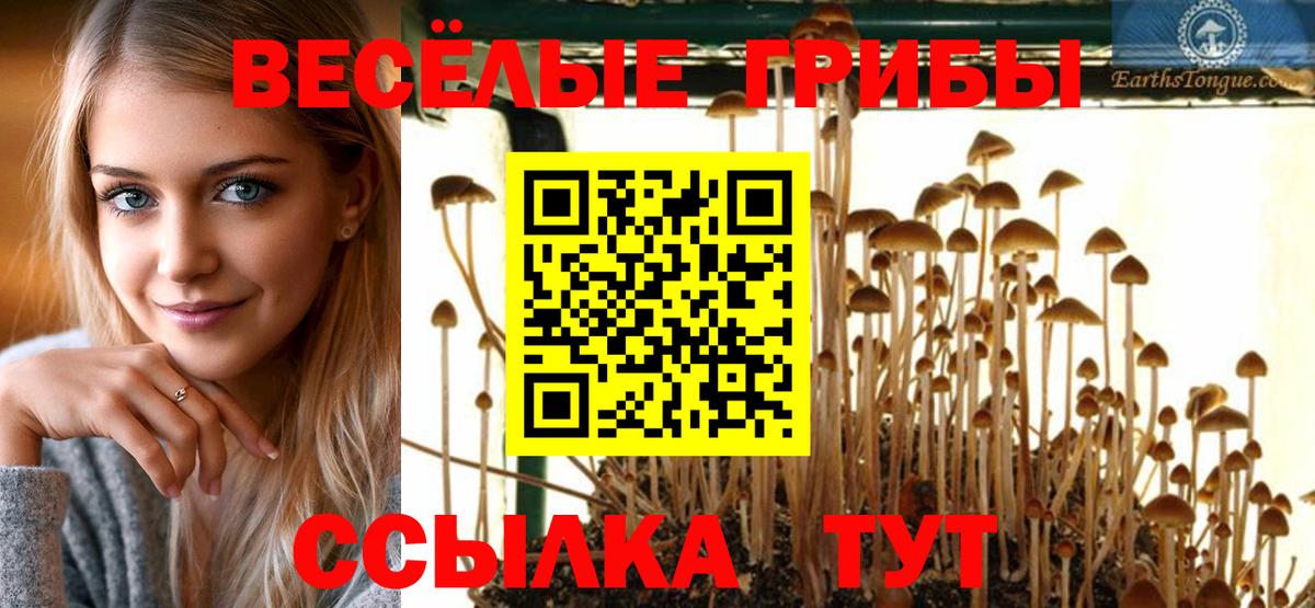 Галлюциногенные грибы мухоморы Электрогорск